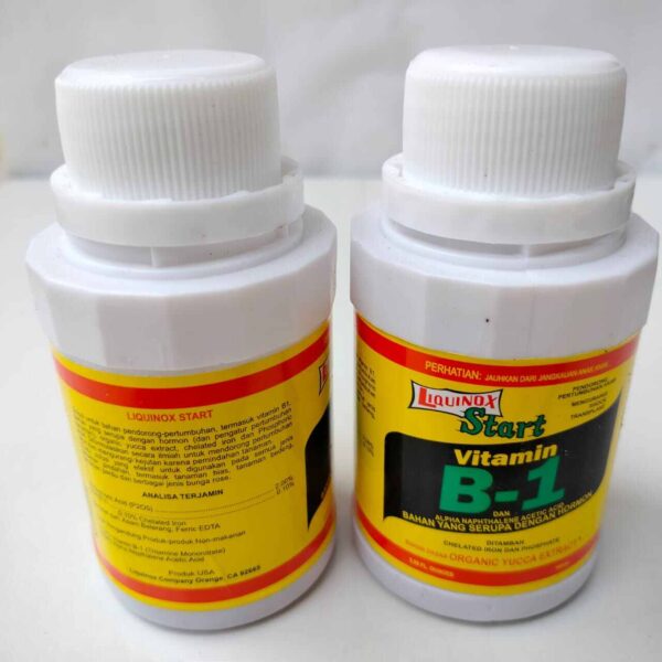 PUPUK VIT B1 VITAMIN - Vitamin B1 Tanaman Tahan Penyakit Beninox 100ml - Gambar 3