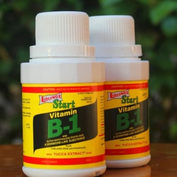 PUPUK VIT B1 VITAMIN - Vitamin B1 Tanaman Tahan Penyakit Beninox 100ml